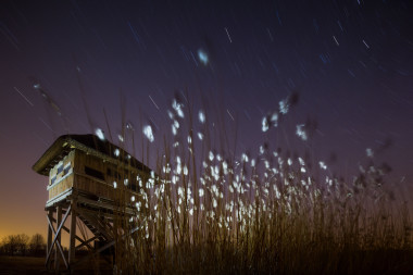 Ptačí pozorovatelna Polákův poloostrov