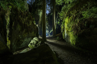 Zelený muž Prachovských skal