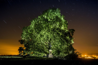 Sedmiletá válka Ostřetín