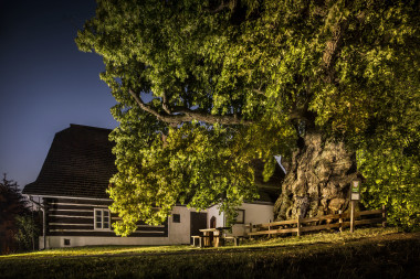 Lukasova zpívající lípa Telecí