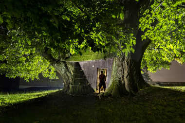 Vejdova lípa nejširší strom