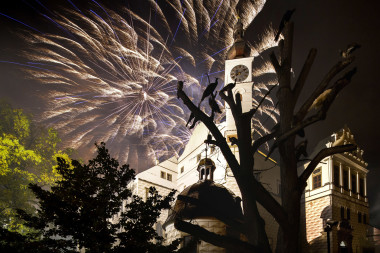 Paví strom Zámek Pardubice