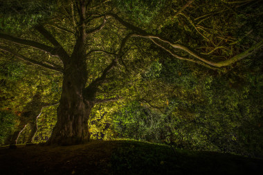 Symbol smrti tis Vilémovice