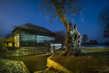 Popovický dub a válka