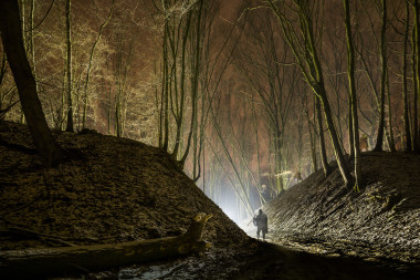 Češovské valy, mlčenlivý les