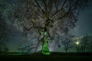 Hromová lípa, Klamoš