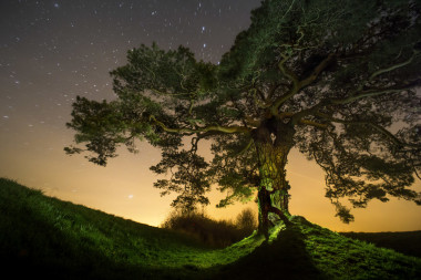 Libáňská borovička a zabitý kněz