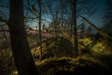 Vražda a padělek, hrad Vražba