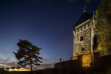 Obr a na hlavu postavená borovice, Vítochov