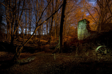 Moře, chleba ceny zlata a mlýn, Rašovy