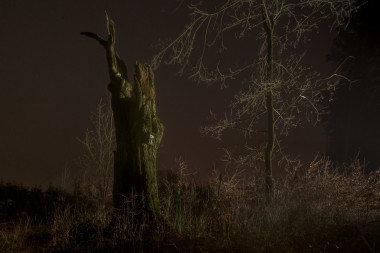 Výpalné, sirotčí poklad, Bystré