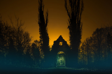 Hřbitov bláznů, Bohnice