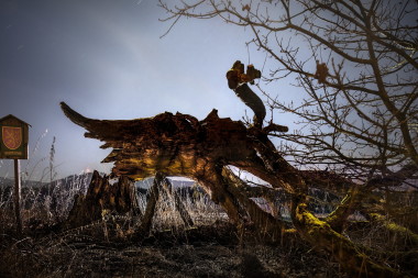 Popravčí dub, Velké Losiny