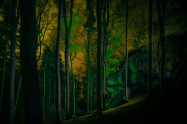 Gorila, bučiny a Muhu