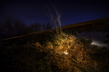 Výstraha a poklad Cotkytle