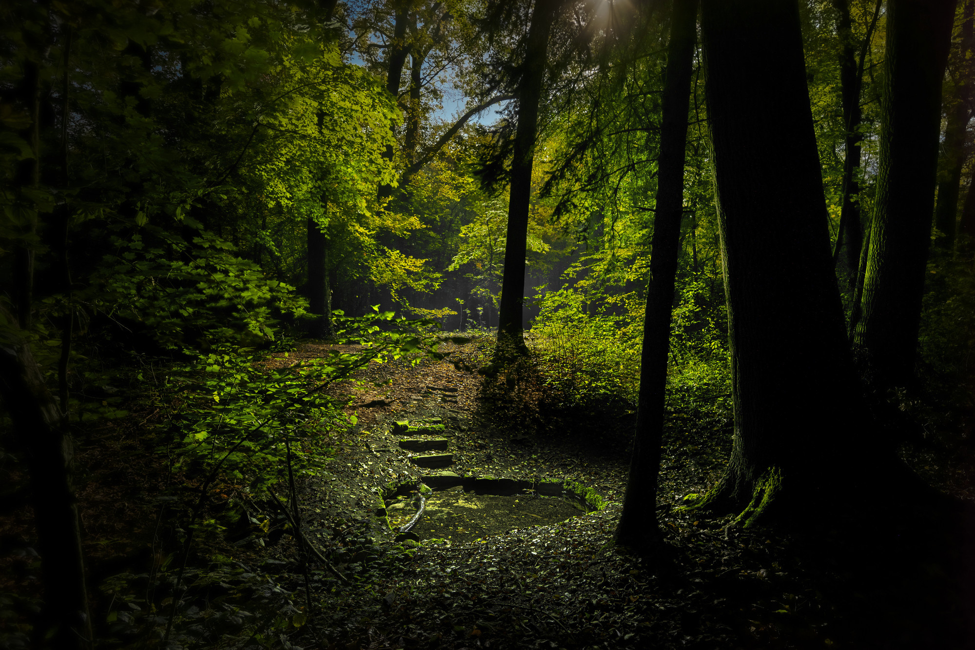 Zrcadlová studánka