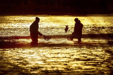 Lázně Bohdaneč a zlato rybářů