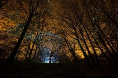 Hnízdo v korunách