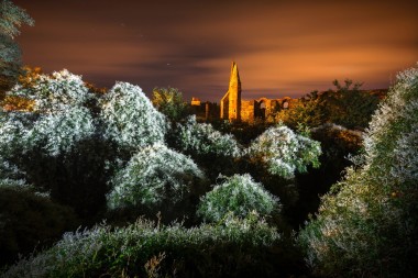 Rosa Coeli Dolní Kounice